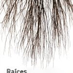 Victor Alfonzo Palacio Kindle eBook Arts & Photography Guide 2025-0