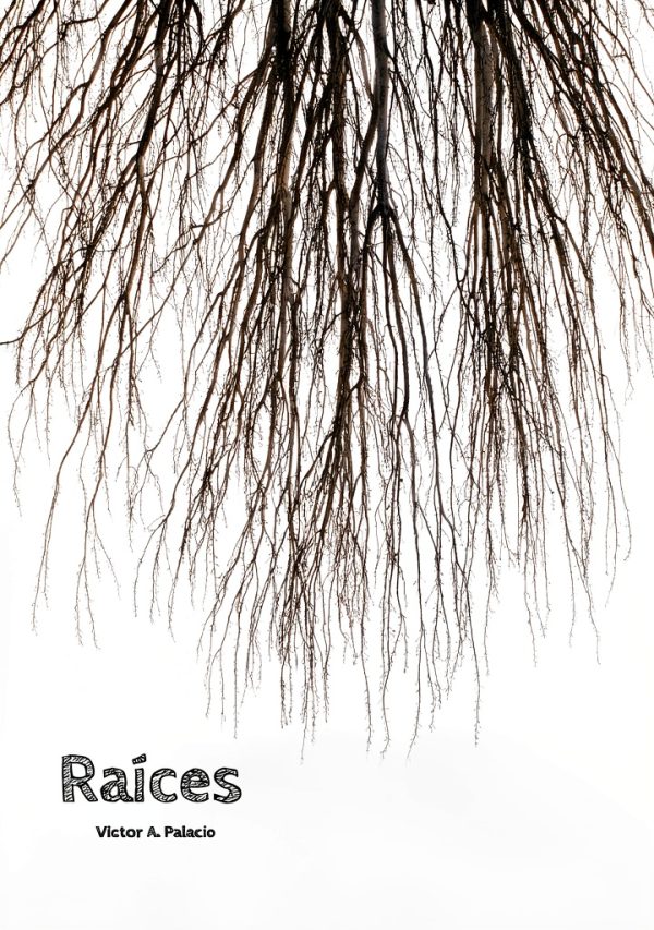 Victor Alfonzo Palacio Kindle eBook Arts & Photography Guide 2025-0