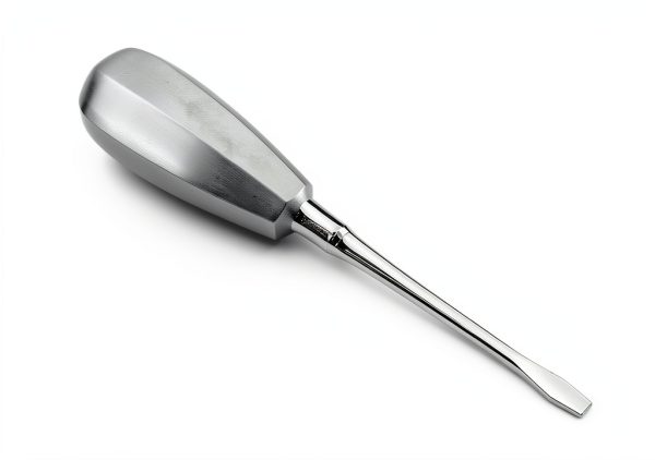 French Steel Dental Crown Splitter Hand Pressure Chisel 4MM (HTI BRAND)-0