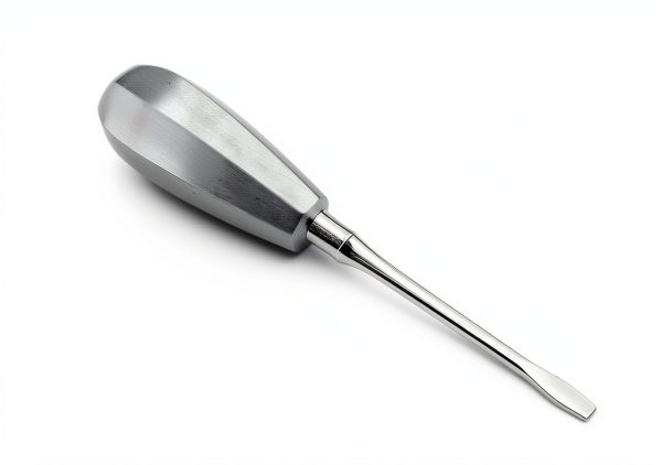French Steel Dental Crown Splitter Hand Pressure Chisel 4MM (HTI BRAND)-1